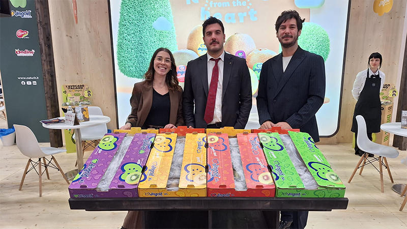 Team Marketing Jingold